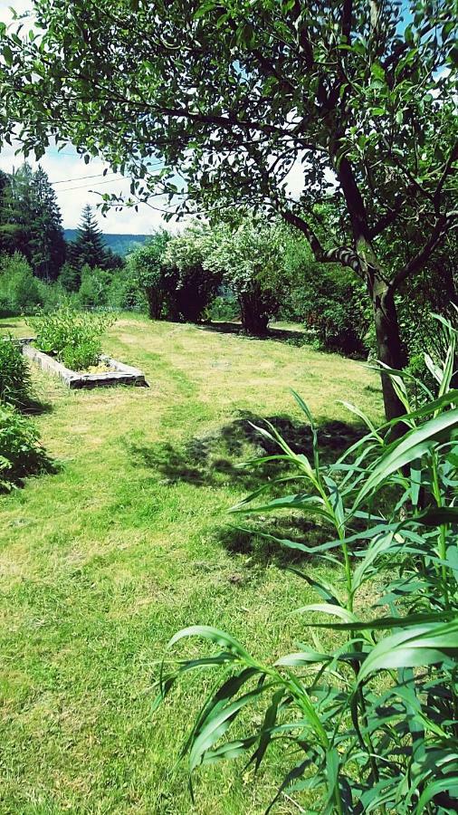 Hotel La Boissellerie Saulxures-sur-Moselotte Exteriér fotografie