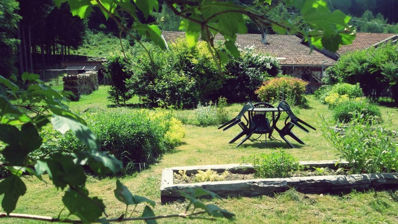 Hotel La Boissellerie Saulxures-sur-Moselotte Exteriér fotografie